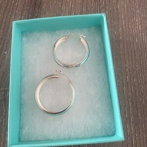 Elegant Silver Hoop Earrings